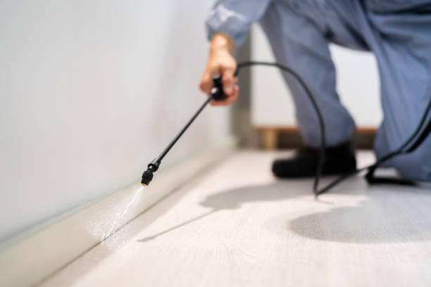 Bed Bug Pre-Treatment Preparation Assessment in North Highlands
