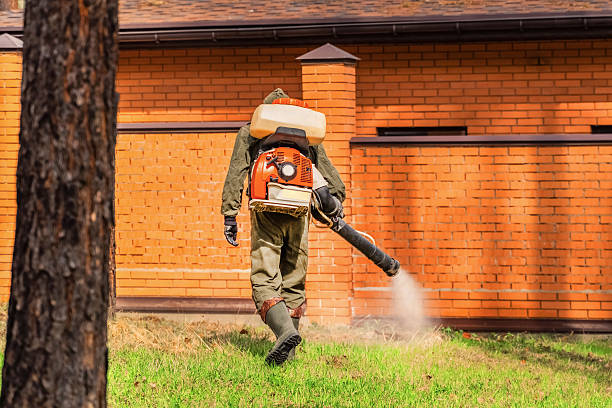 Bed Bug Clearance Verification and Documentation in North Highlands